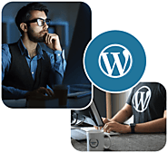 Hire WordPress Developer | Hire WordPress Developers in India