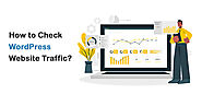 How to Check WordPress Website Traffic? - wewpyou