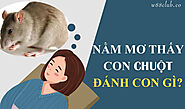 Nằm mơ thấy chuột mang lại điềm báo gì? Đánh con số gì?