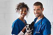 Long Term Disability Legal Support For Veterinarians