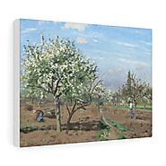 Orchard in Bloom, Louveciennes (1872) by Camille Pissarro - Stretched Canvas