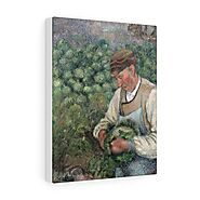 The Gardener - Old Peasant with Cabbage (1883-1895) by Camille Pissarro - Stretched Canvas