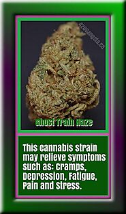 #5 Energy-Giving Cannabis Strain - Ghost Train Haze