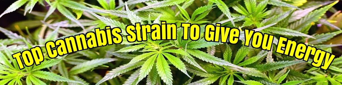 Headline for Top Nine Cannabis Strains To Grow For Energy