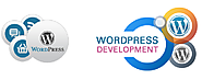 WordPress is most effective, inexpensive, robust and widely popular of all CMS solutions