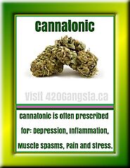 #5 Cannabis Anxiety Relief Strain - Cannatonic