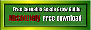 Download the Marijuana Grow Bible
