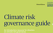 Climate risk governance guide