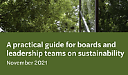 A practical guide for boards and leadership teams on sustainability - Mazars Group & Ecoda