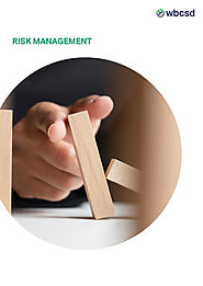 Risk management - WBCSD Publications