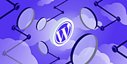 One Word: WordPress Gallery Plugin - Tech Trader