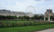 Jardin des Tuileries