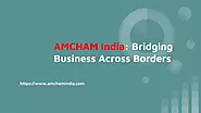 PPT - AMCHAM India_ Bridging Business Across Borders PowerPoint Presentation - ID:12506077