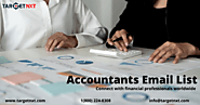 Accountants Email List