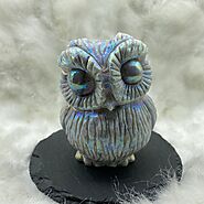 Buy Online Aura Crystals Howlite Aura Owl Carving