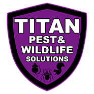 Commercial, Residential Pest & Wildlife Control – St. Louis & Kansas City