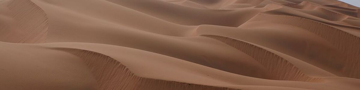 Headline for List of famous deserts in Abu Dhabi - Experience the wonder of the desert!