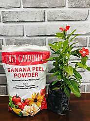 Banana Peel Fertilizer for Plants | Buy Banana Peel Powder Online — LazyGardener