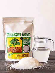 Epsom Salt Fertilizer for Plants | Buy Epsom Salt Online — LazyGardener