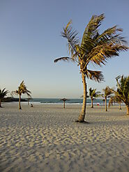 Have a Walk on Al Mamzar Beach