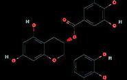 Epigallocatechin Gallate: Benefits, Dosage, and Safety