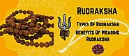 Different Types Of Rudraksha & Benefits of Wearing Rudraksha.