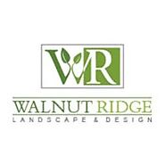 Say ‘Nay’ to Boring Landscape, Say ‘Yay’ to Walnut Ridge Landscape