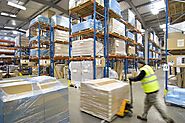 Pest Control in Industrial Warehouse: Top Things to Consider