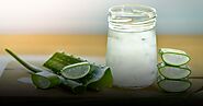 Top 10 Aloe Vera Juices to Keep You Healthy | Aloe Vera Juice Benefits & Uses