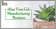 Aloe Vera Gel Manufacturing Business - A Business of Immense Scope