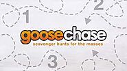 Goose Chase #5