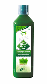 Aloe Vera Wheat Grass Juice at Rs 155/piece | Wheatgrass Juice | ID: 20758978748