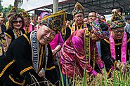 Tadau Ka’amatan Harvest Festival