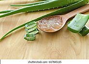 Aloe Vera Gel Images, Stock Photos & Vectors | Shutterstock