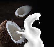 benefit of coconut milk | lovelcute