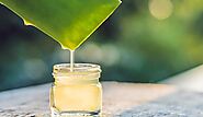 10 Best Aloe Vera Juices In 2021 🥇 | Tested and Reviewed by Beach Enthusiasts - Globo Surf
