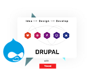Best Drupal Cms web development company In India, Delhi | Trank Technologies