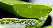 Skin Care Tips: 6 Ways to use ALOE VERA GEL for smooth, supple and glowing skin | PINKVILLA
