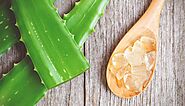 5 Ways To Use Aloe Vera To Treat Oily Skin