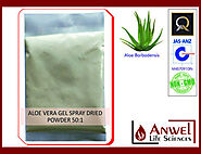 Aloe Vera Powder - Aloe Vera Gel Spray Dried Powder 50:1 Manufacturer from Bharuch