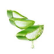 Aloe Vera Gel Stock Photos, Pictures & Royalty-Free Images - iStock