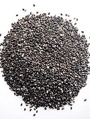 aloe vera seeds by Sri Murugan Traders, aloe vera seeds from Chennai Tamil Nadu | ID - 3119696
