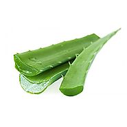 Fresh Aloe Vera Leaves Green Organic (1 Kg)