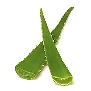 Aloe Vera: Buy Aloe Vera Online at Best Prices in India.