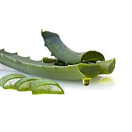 Raw Aloe Vera Leaves at Rs 7.5/kilogram | Aloe Vera Leaf | ID: 16683568388