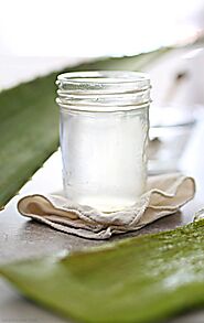 Aloe Vera Juice Recipe and How To Cut An Aloe Plant - Delightful Mom