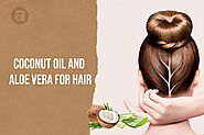 Aloe Vera and Coconut Oil for Hair Growth | Coconut and Aloe Vera Oil – Anveshan