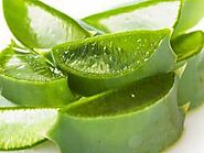 Nine health benefits and medical uses of Aloe vera