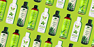 5 Best Aloe Vera Gels Your Skin Will Actually Love, According to Dermatologists