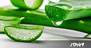 The Best Aloe Vera Products, That Really Get You All The Goodness Of Aloe